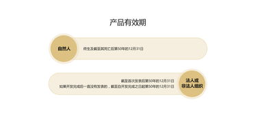 全面解析中國版權登記 流程、費用與專業代理服務指南